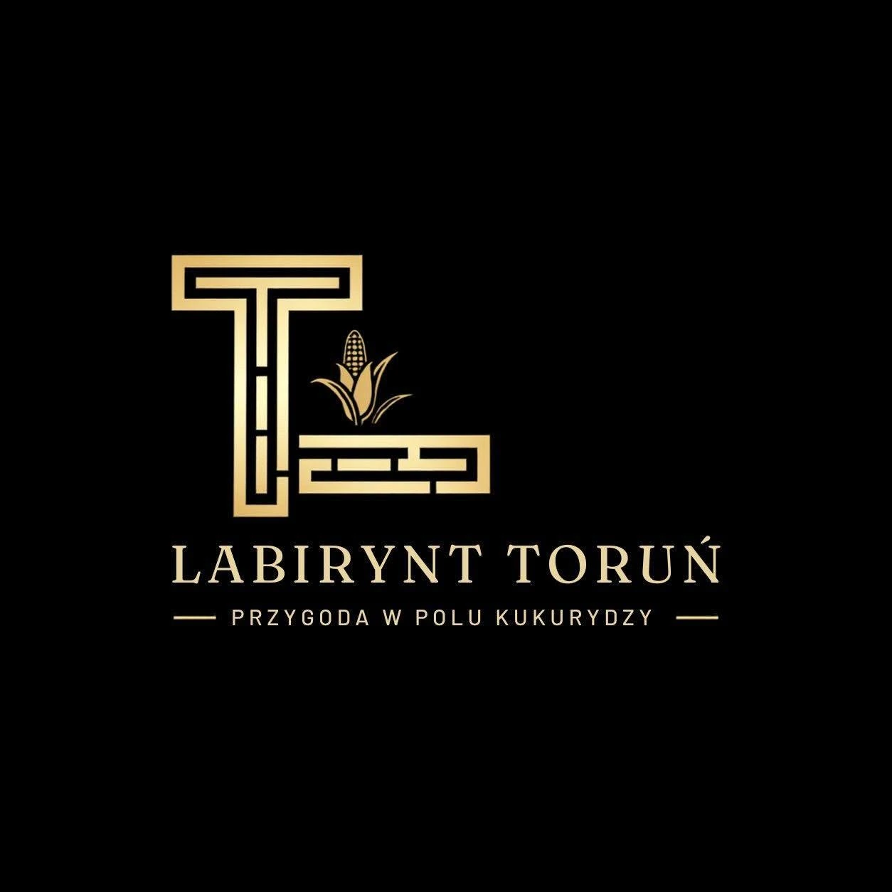 Labirynt Toruń – Przygoda w polu kukurydzy