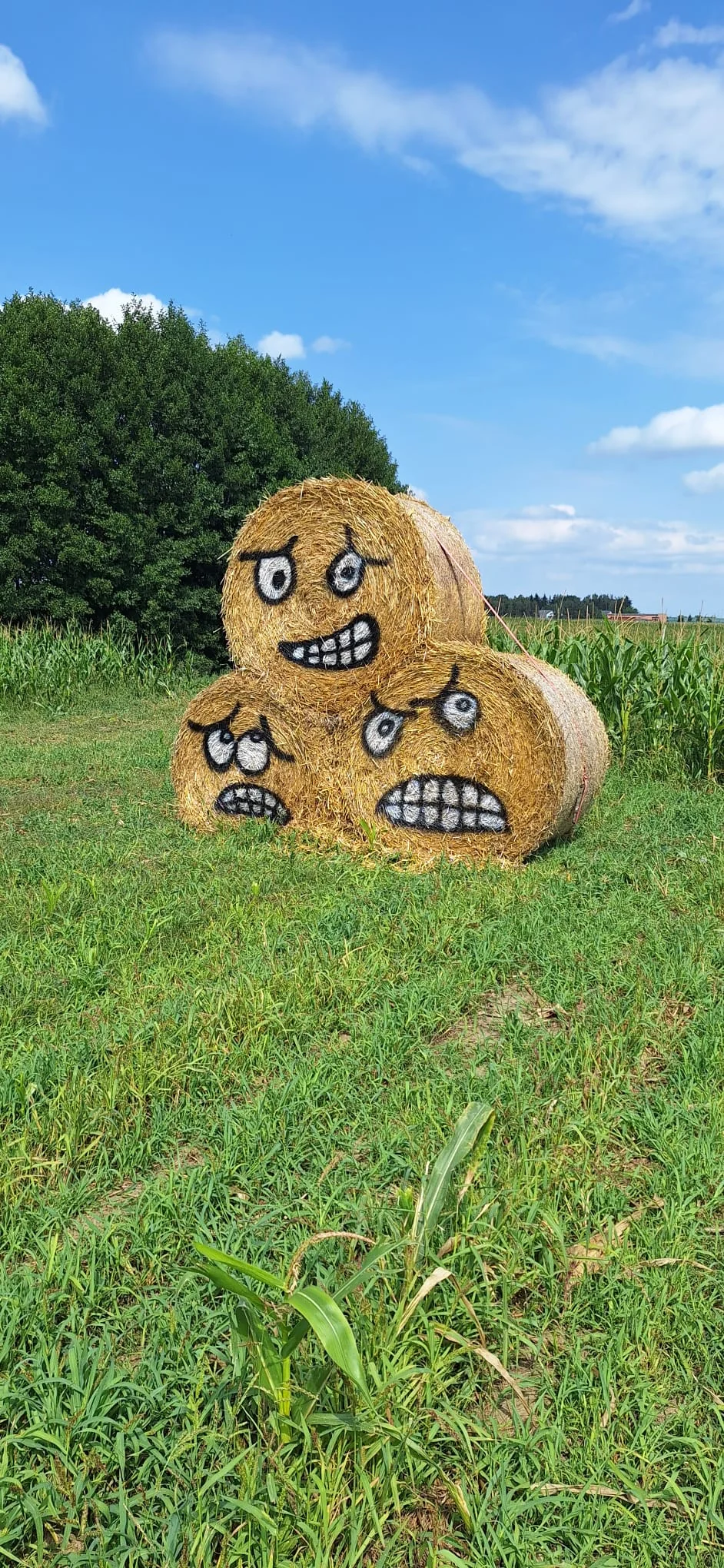 Strefa do zdjęć – Labirynt Toruń