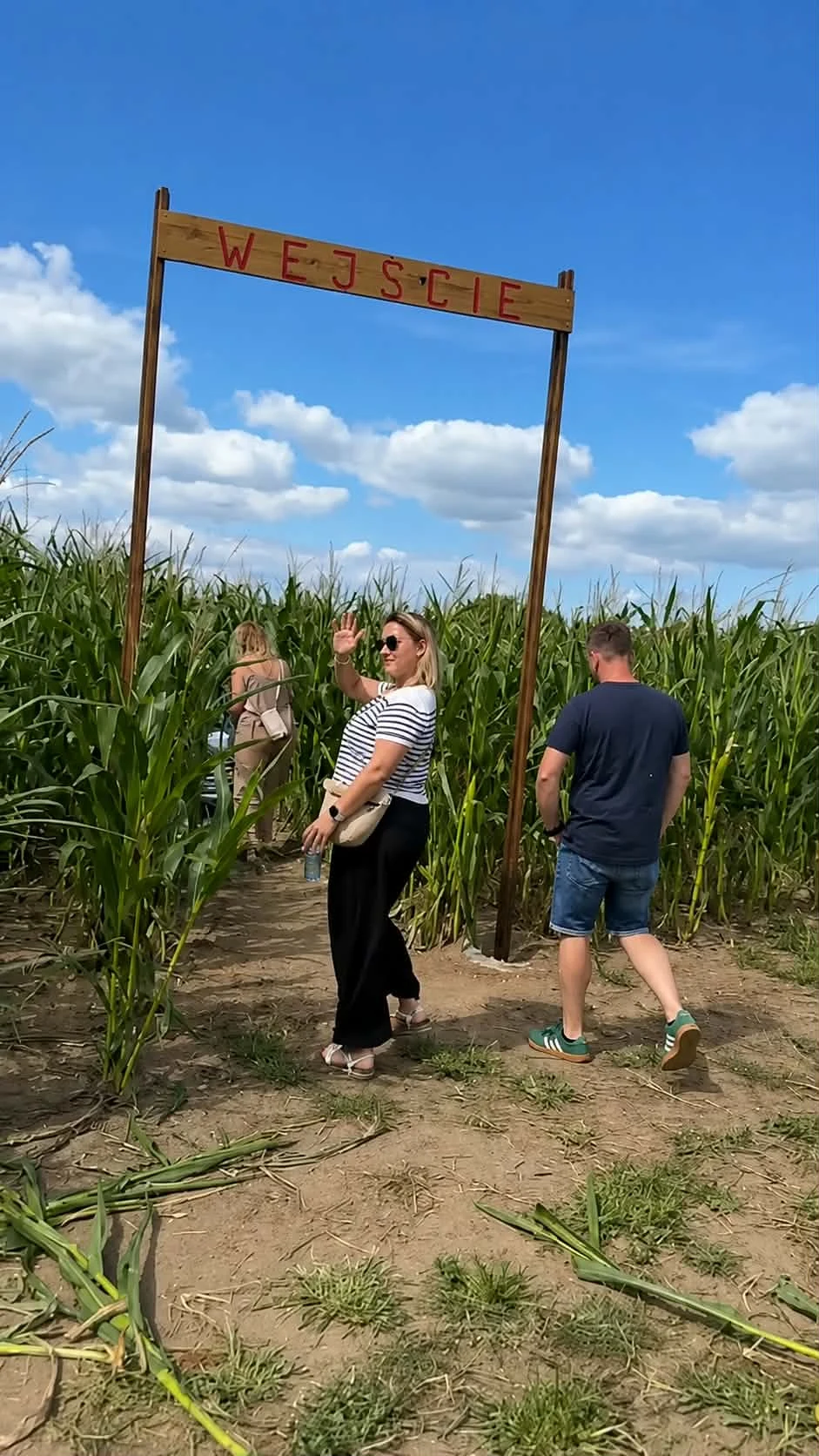 Wejście do Labiryntu Toruń w polu kukurydzy